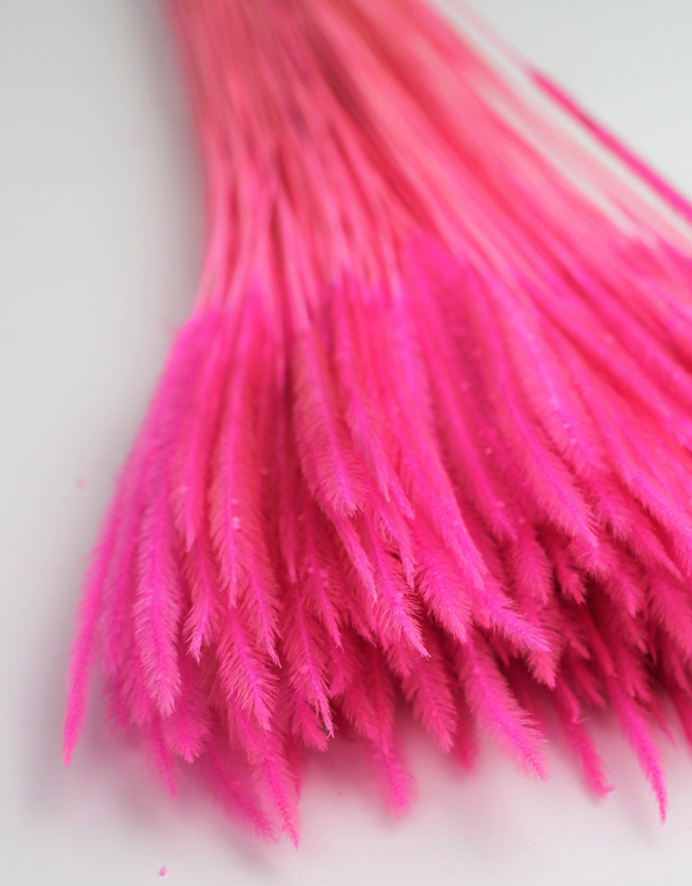 Dried Flowers Pink Bunch