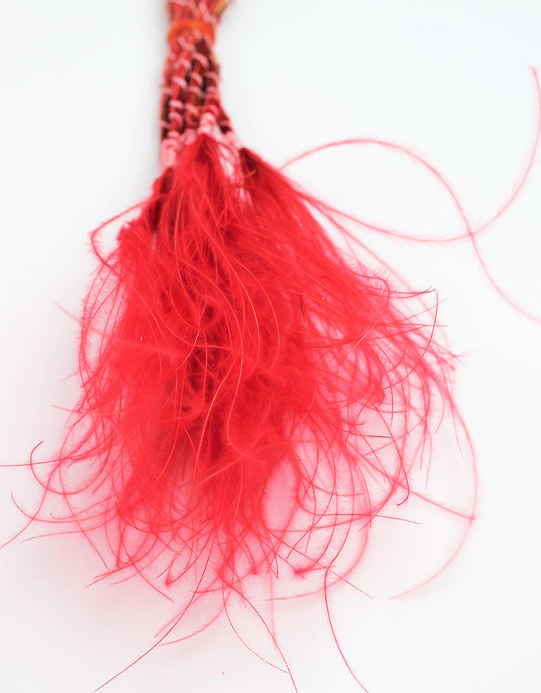 Dried Stypha Penata Red Bunch