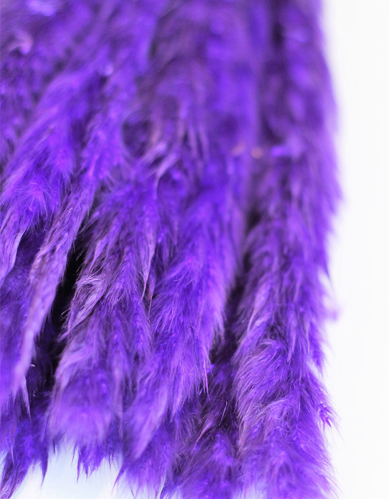 Fluffy Dried Pampas Grass - Purple, 10 Stems, 75 cm (Cortaderia)