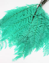 Bracken Fern
