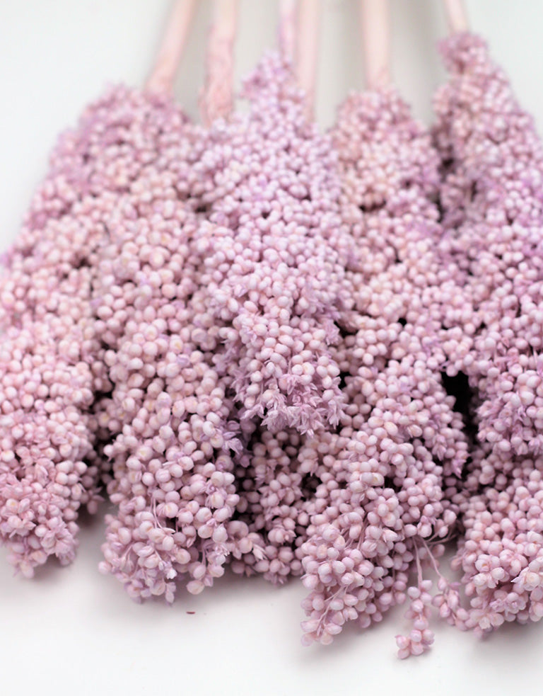 Dried Sorghum UK
