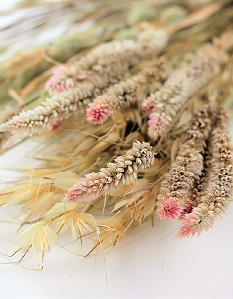 Dried Bouquet UK