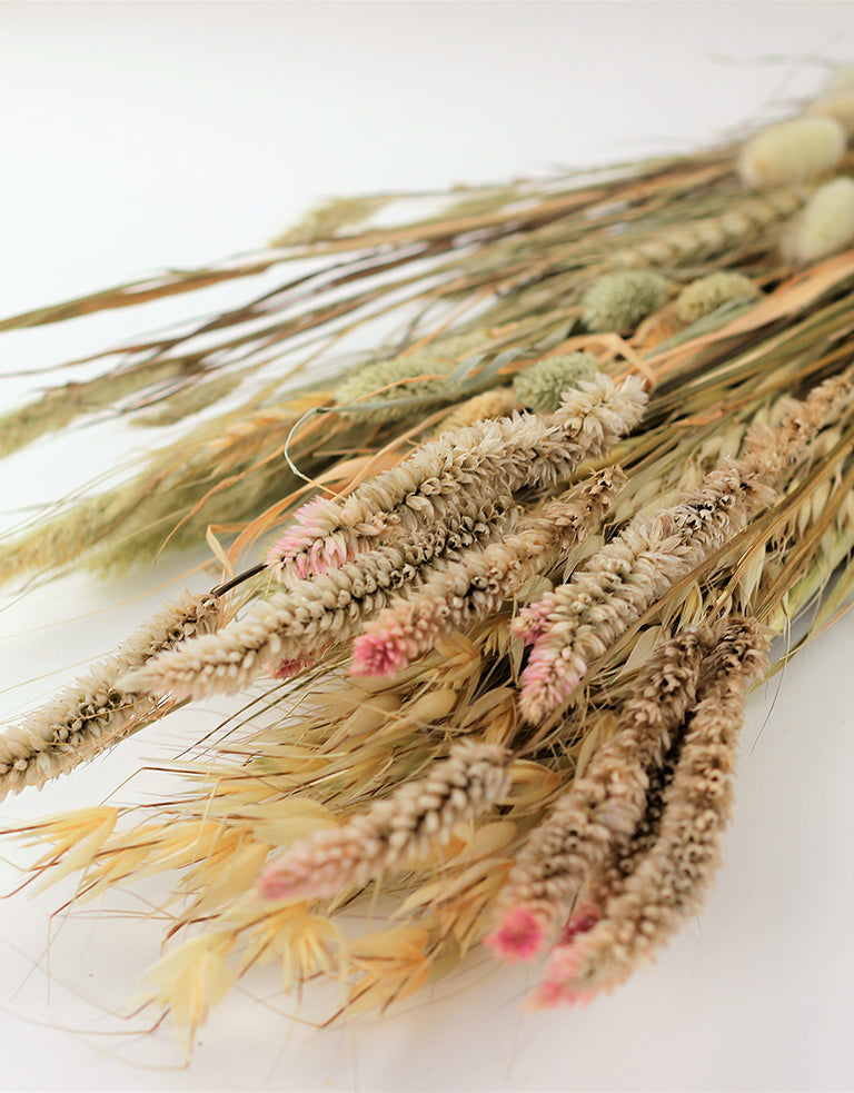 Wholesale Dried Flowers