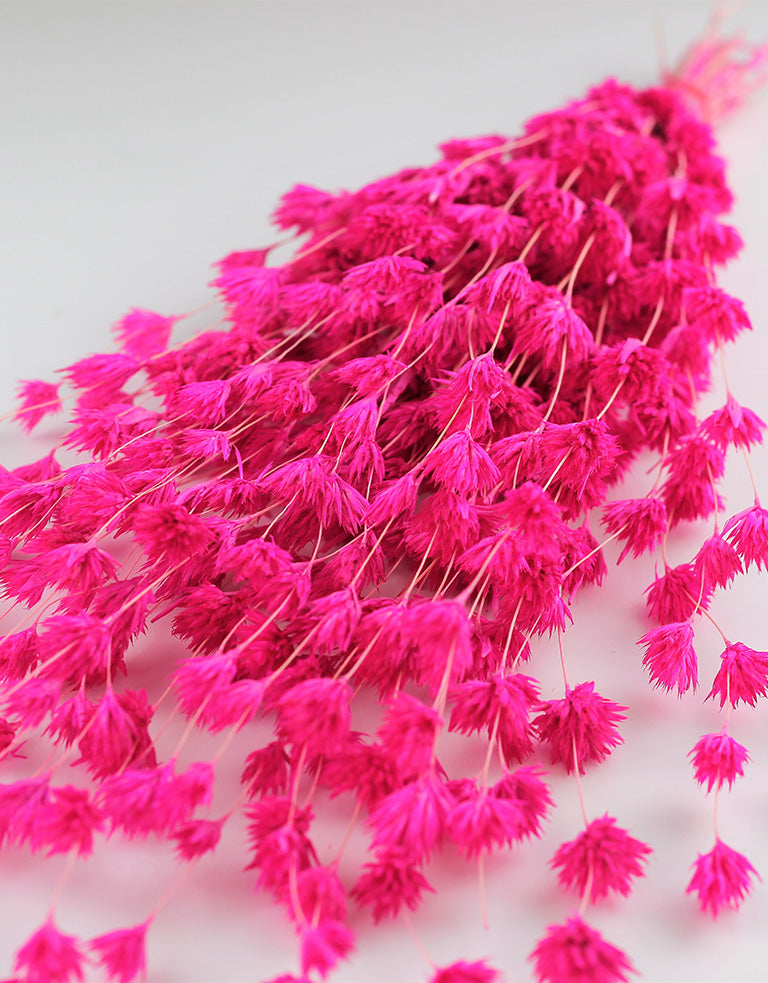 Dried Wheep Bamboo UK