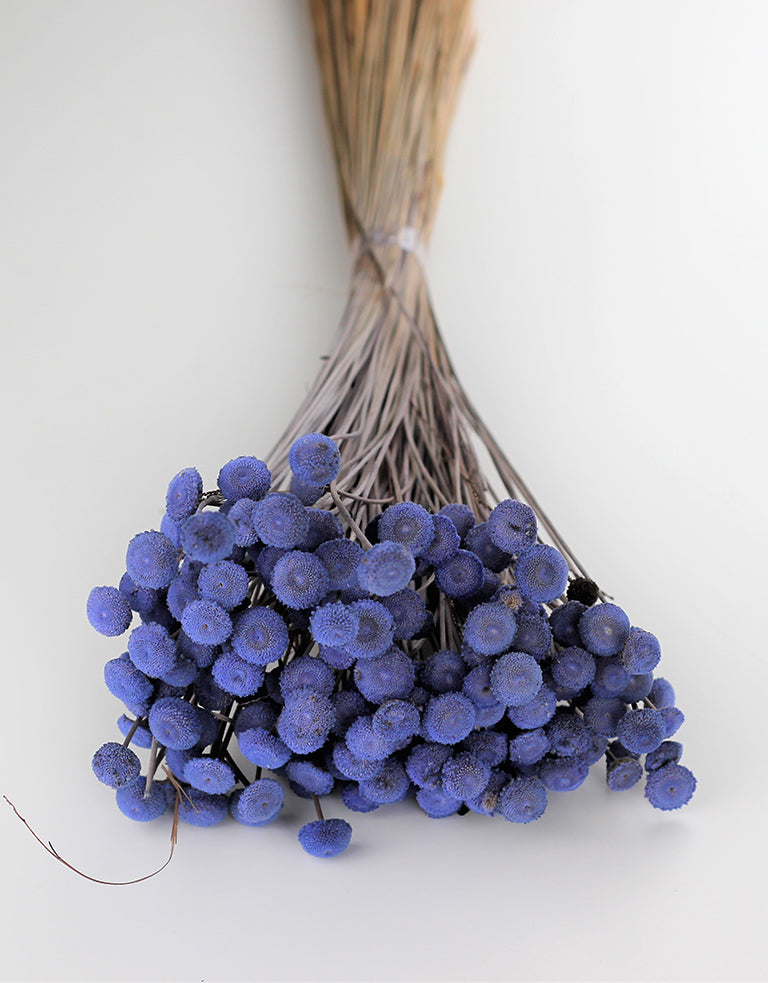 Dried Batao