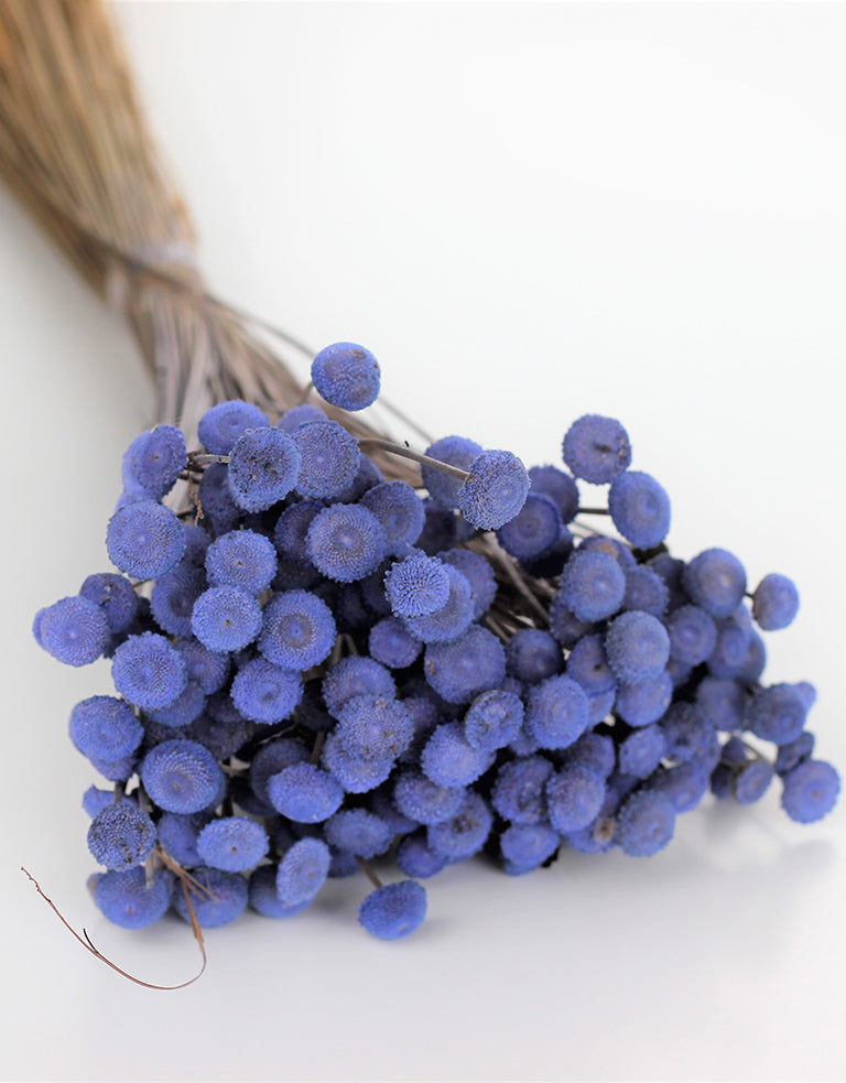 Dried Batao bunch