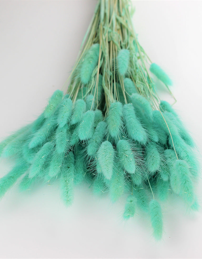 Dried Bunny Tails