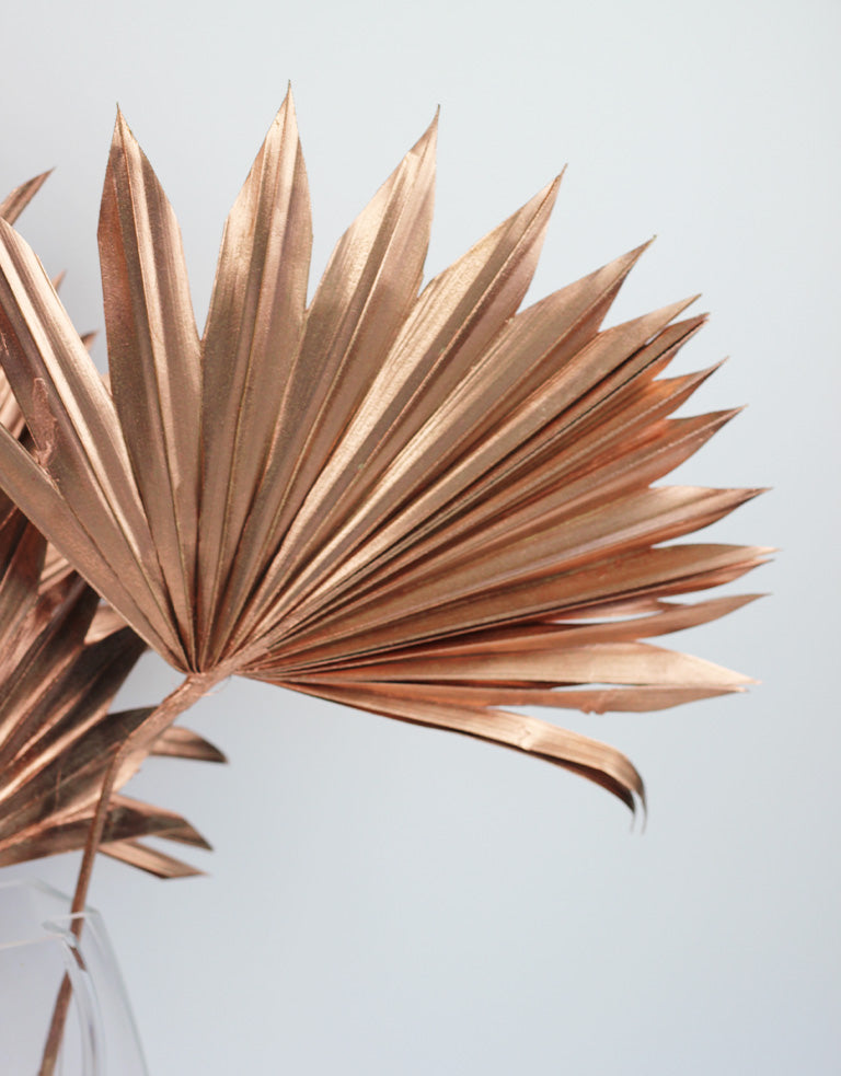 dried palm suns UK
