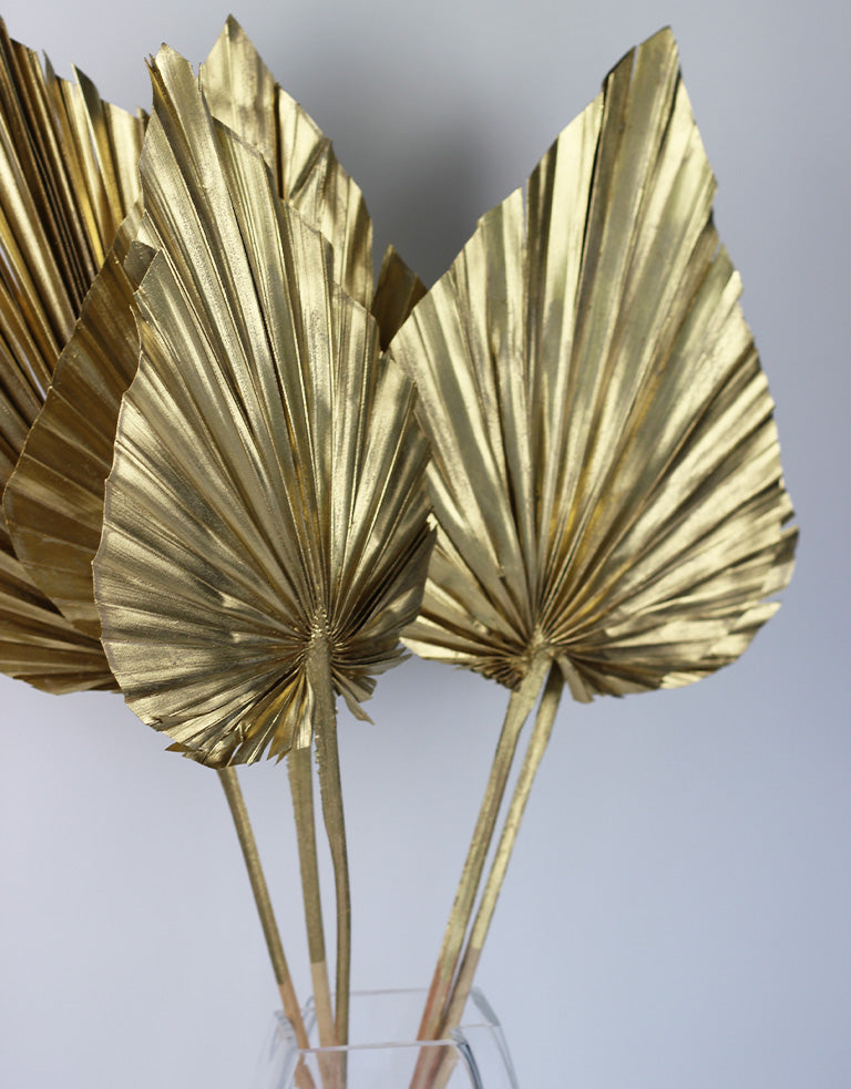 Palm Spears Uk