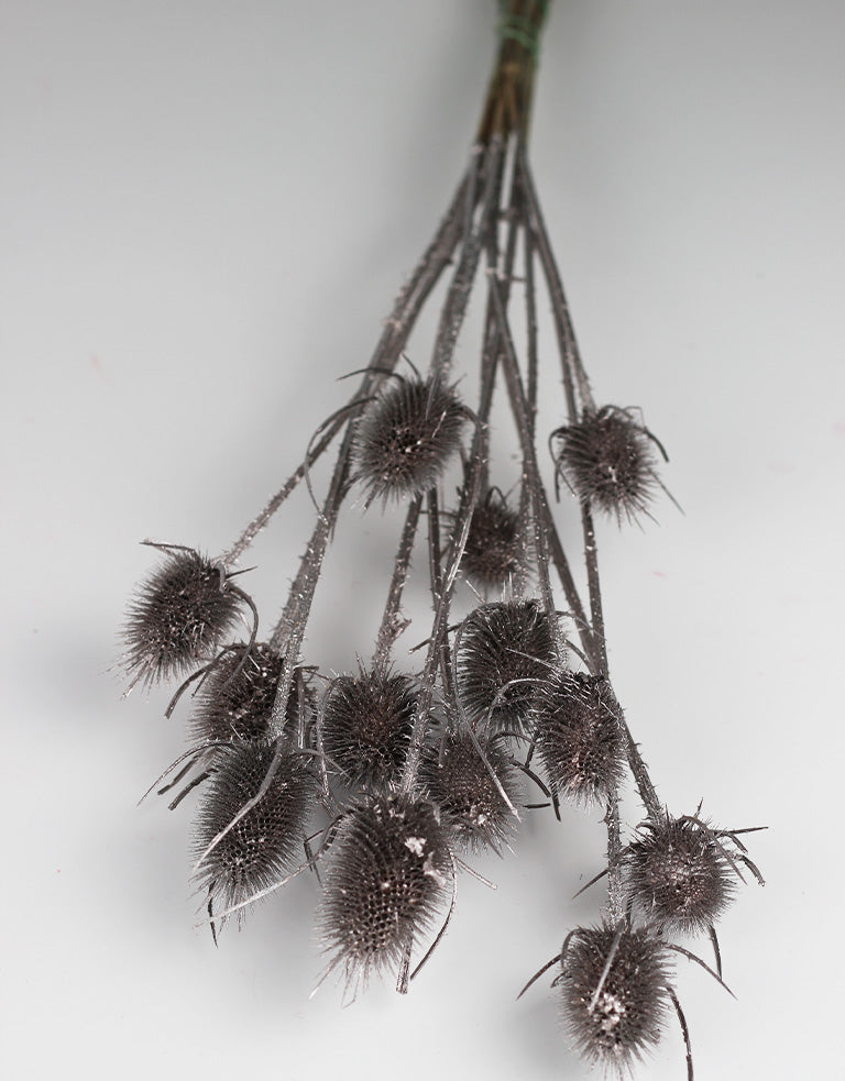 dried flowers uk