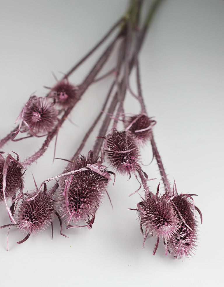 pink dried flowers wholesale