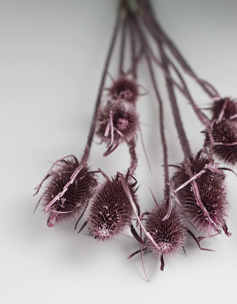 pink dried flowers UK