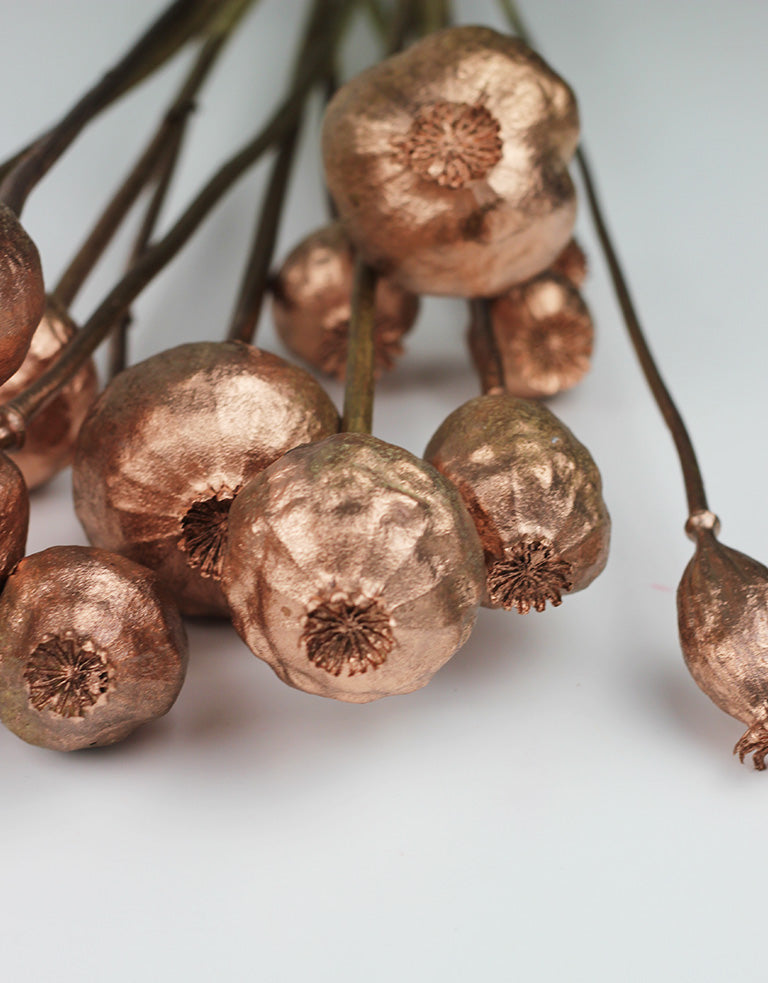 dried poppy heads wholesale