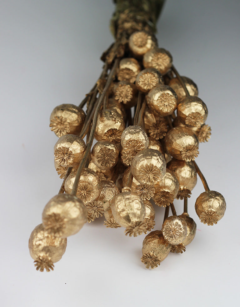 golden dried flowers UK
