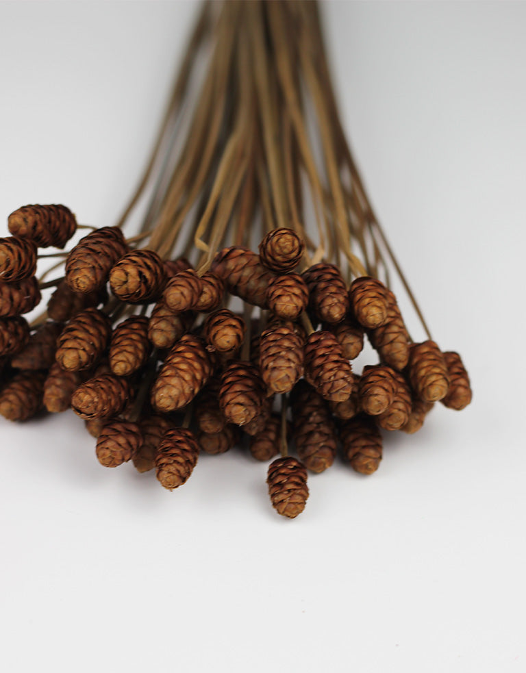 natiral dried flowers