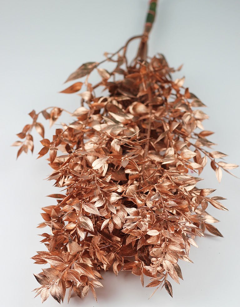 Preserved Ruscus Copper