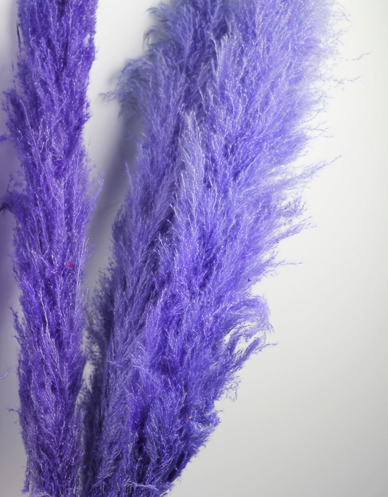 Lilac Large Pampas Grass