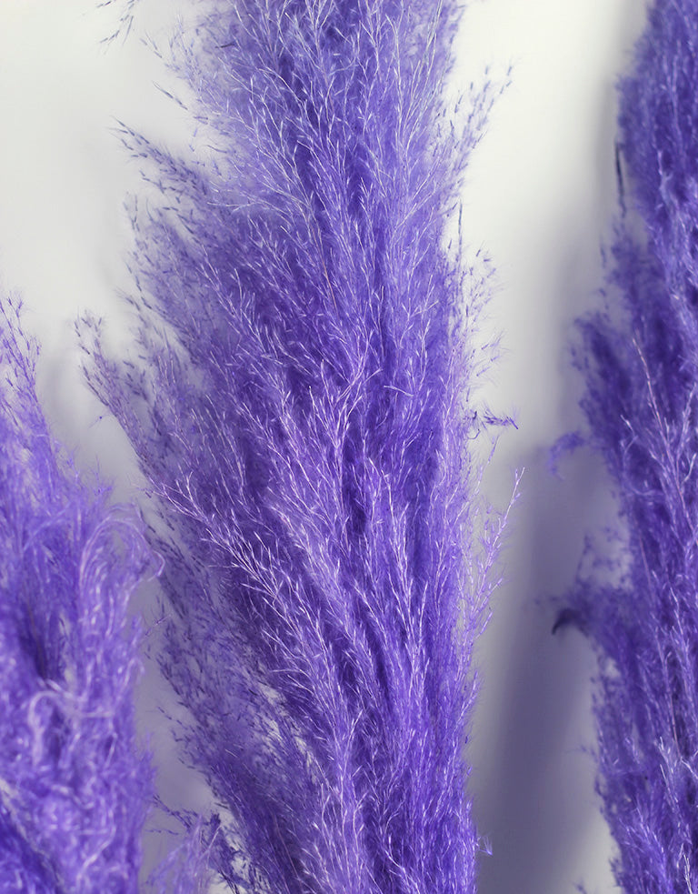 Wholesale Pampas Grass