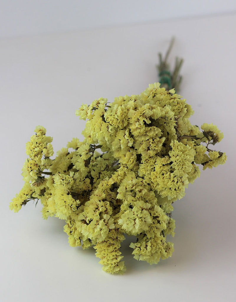 Dried Statice - Yellow 50 cm bunch in UK