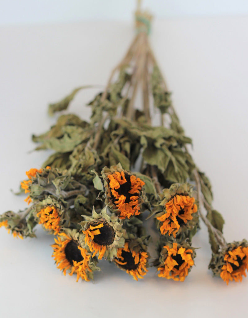 Mini Dried Sunflowers - Yellow Bunch