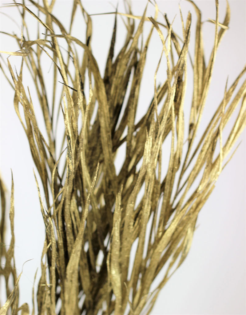 Dried Palm Leaf - Gold, 10 Stems, 70 cm