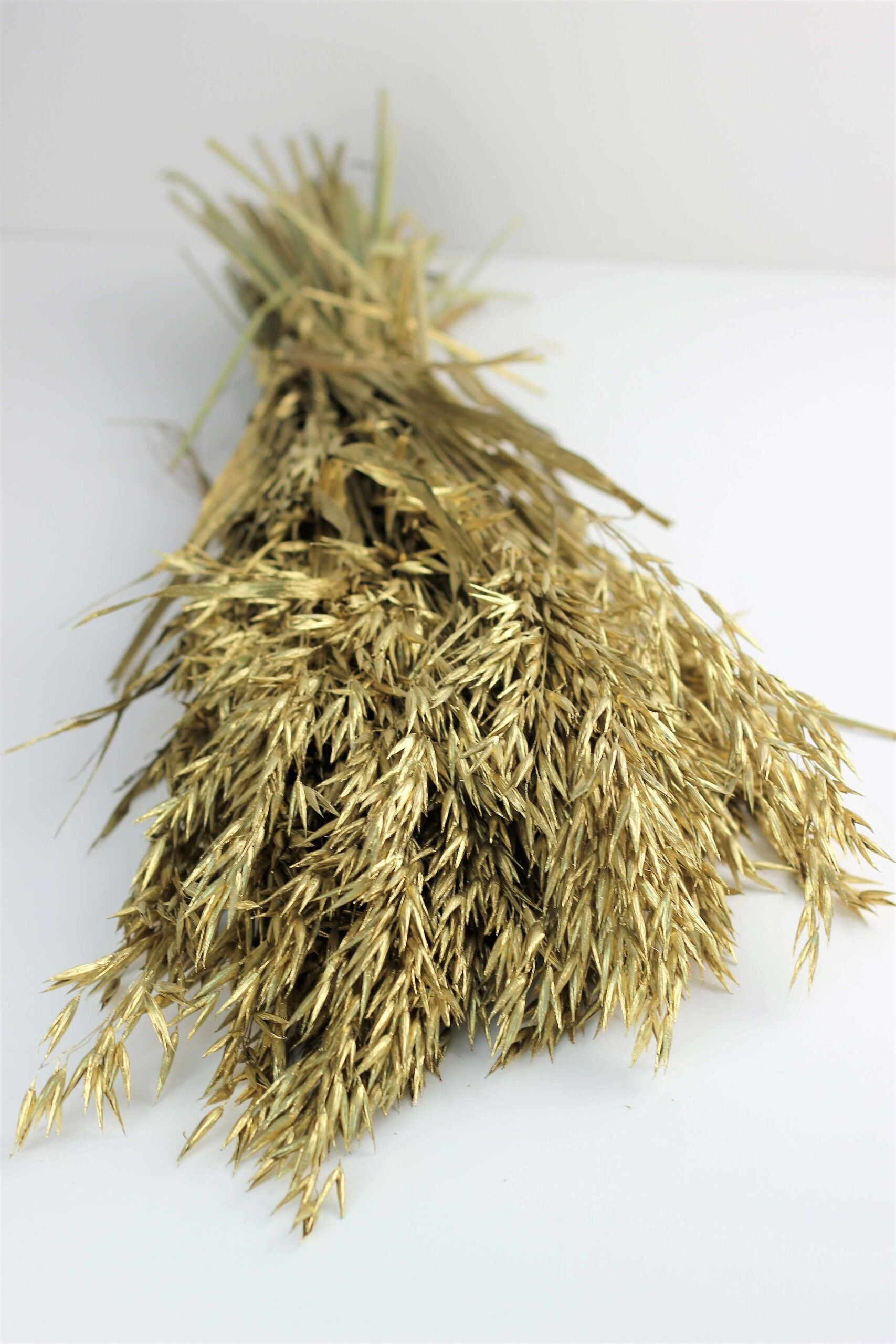 Dried Oat Avena- Gold Bunch
