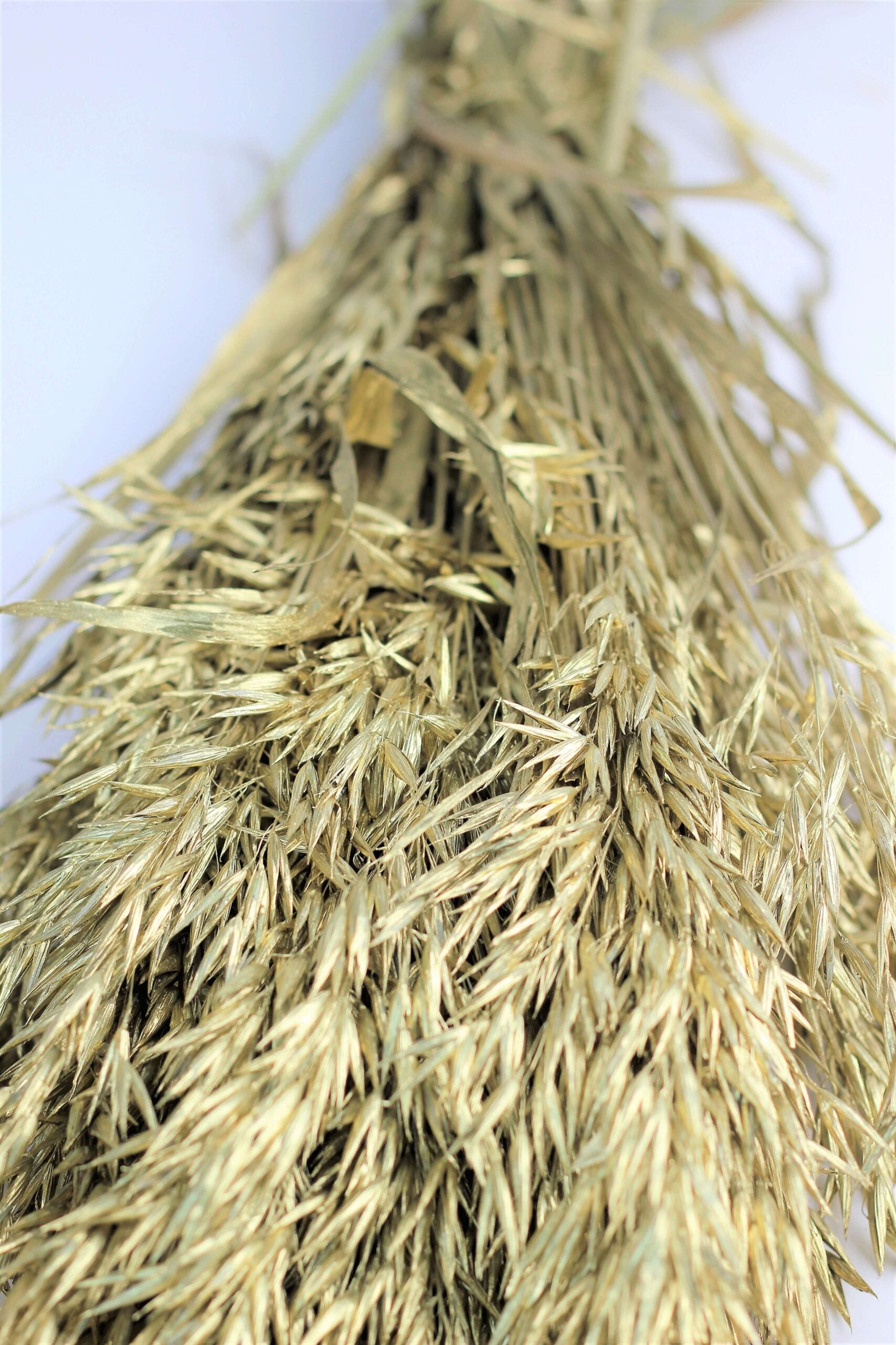 Dried Oat Avena- Gold Bunch, 250 grams