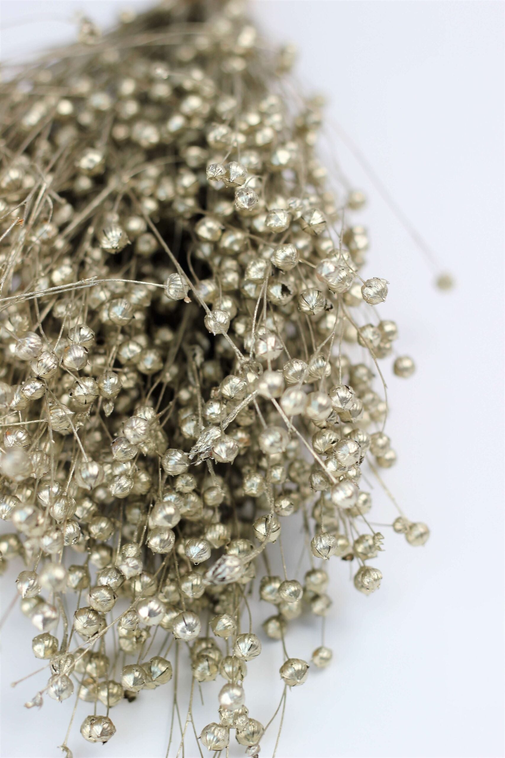 Dried Lino Vlas - Platinum Sleeved Bunch, 60 cm