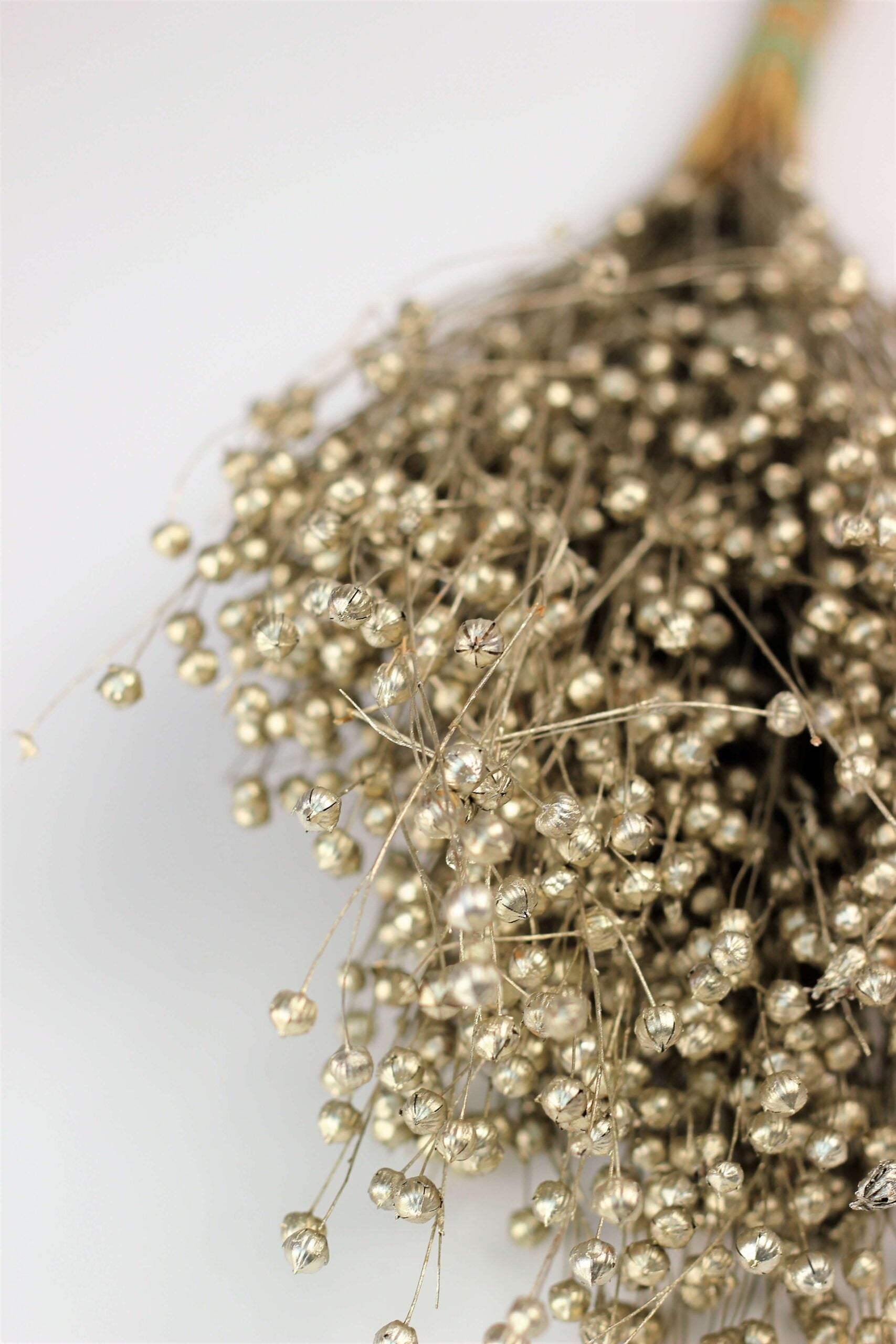 Dried Lino Vlas - Platinum Sleeved Bunch