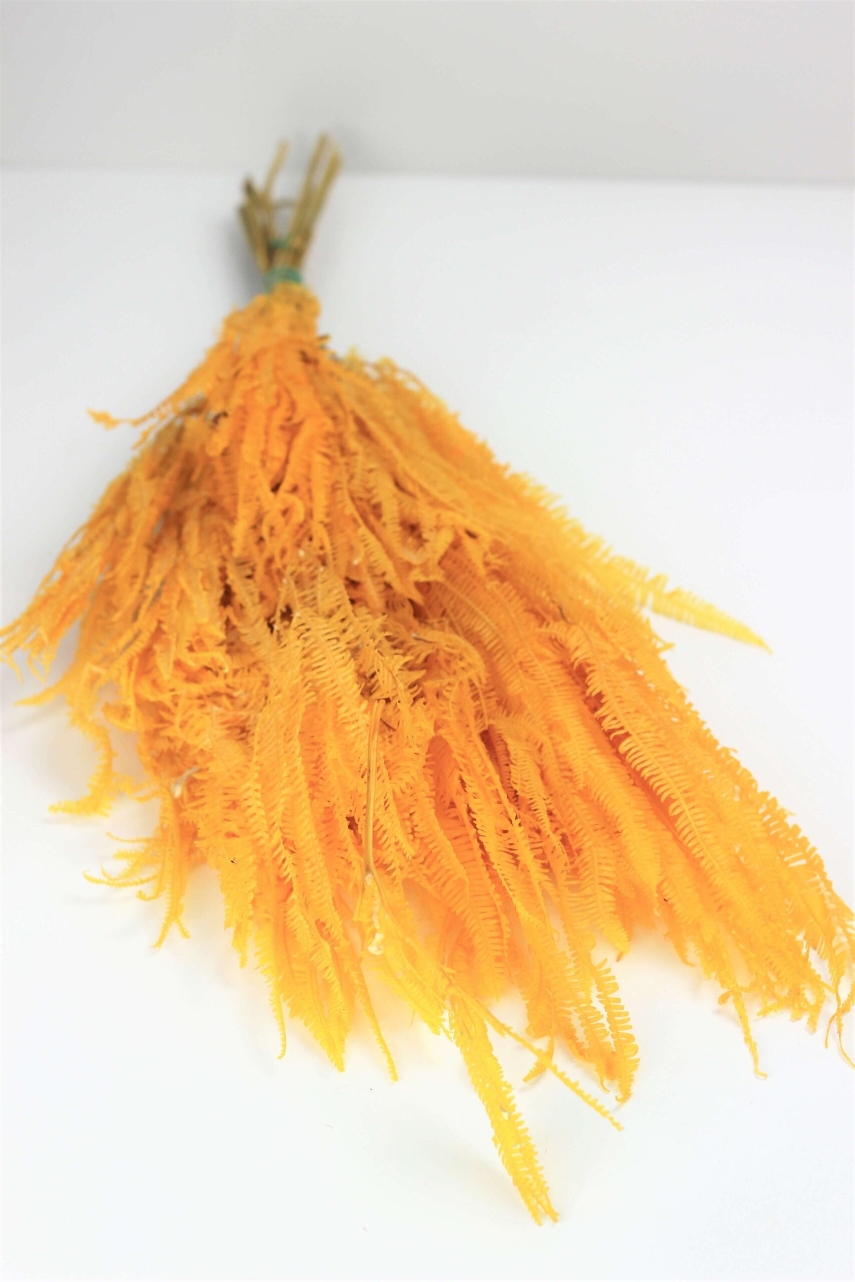 Preserved Helecho - 65 cm Yellow Bunch