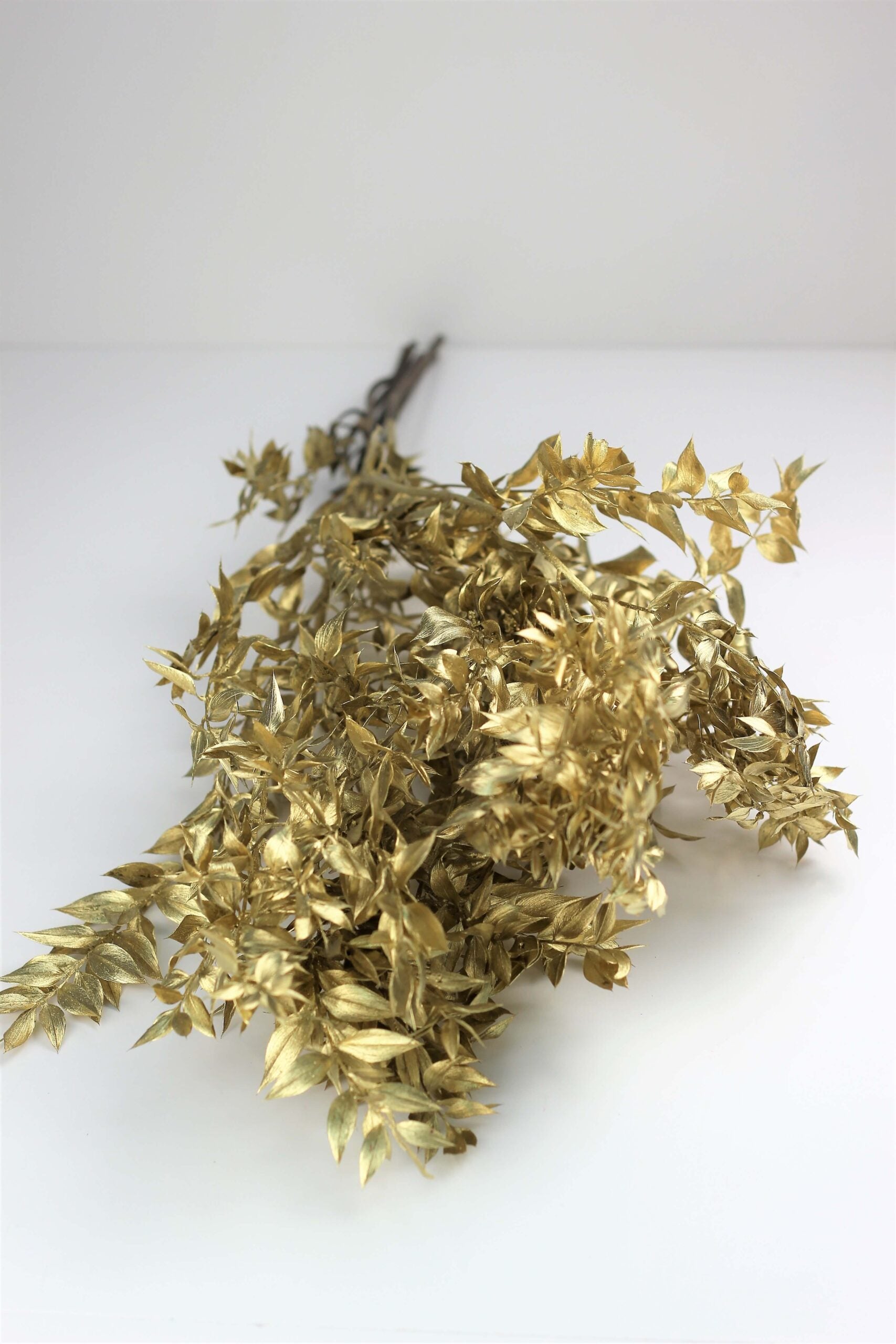 Preserved Ruscus - Gold Bunch, 5 Stems, 70 cm