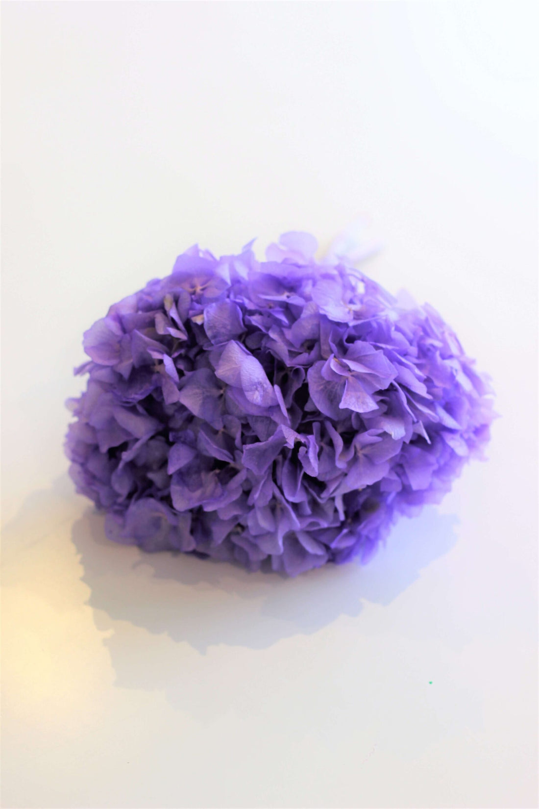 Preserved Hydrangeas - 30 cm Purple Bunch