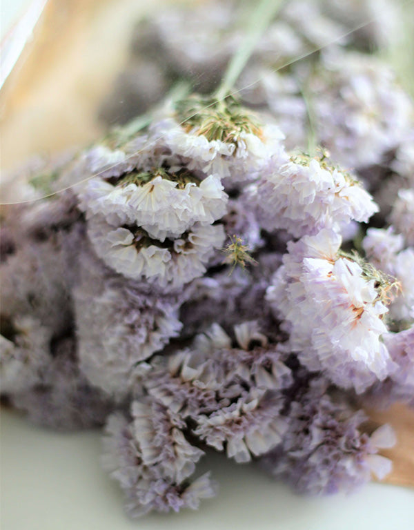 Dried Statice - Pale Lilac Bunch, bunch, 55 cm