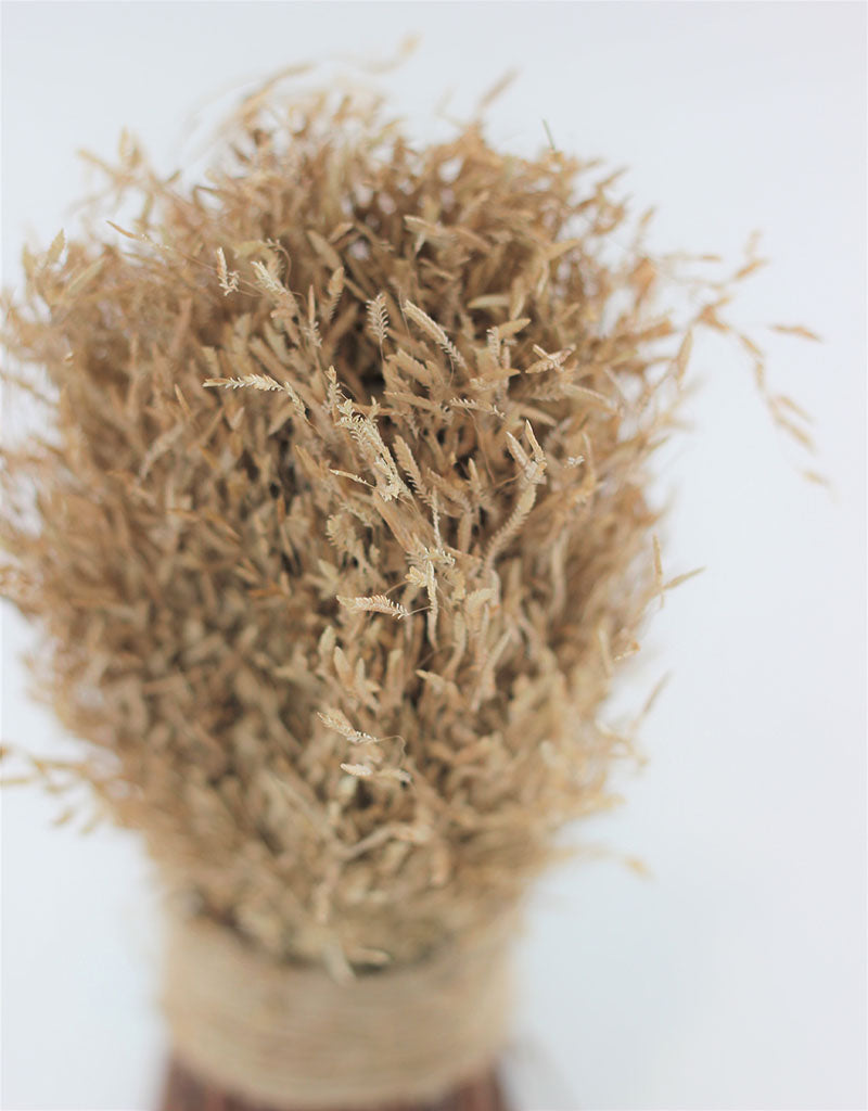 Dried Munni Grass Twig Sheaf - Natural, 20 cm