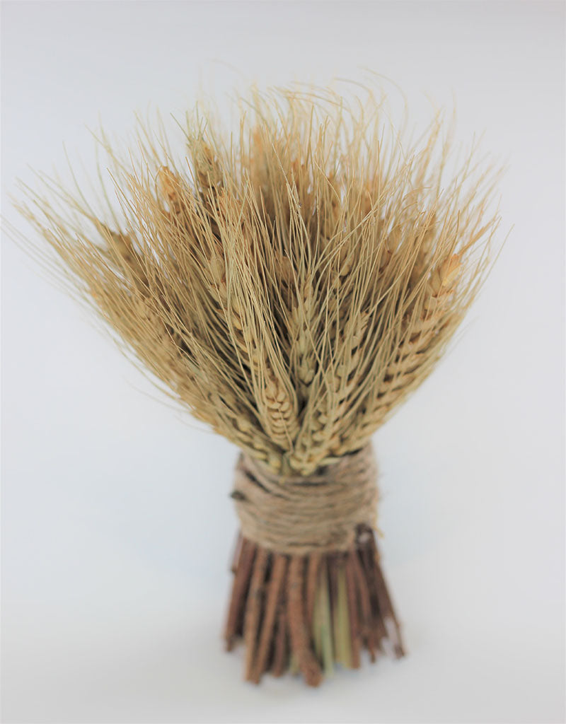 Dried Triticum Twig Sheaf - Natural, 20 cm