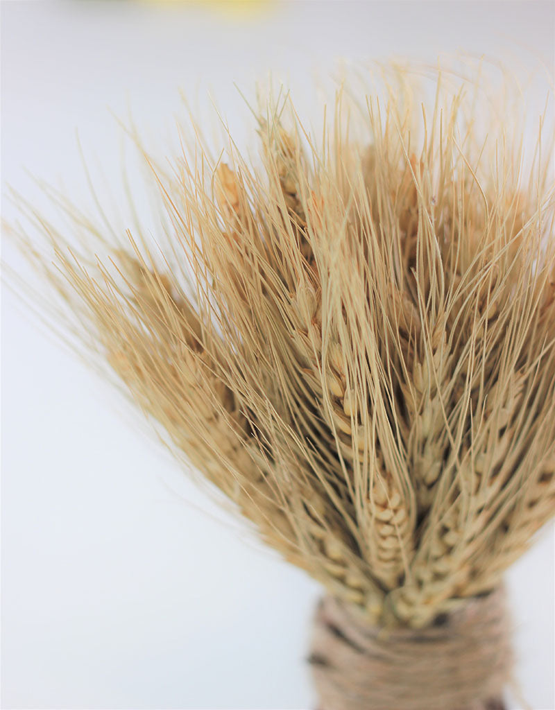 Dried Triticum Twig Sheaf - Natural, 20 cm