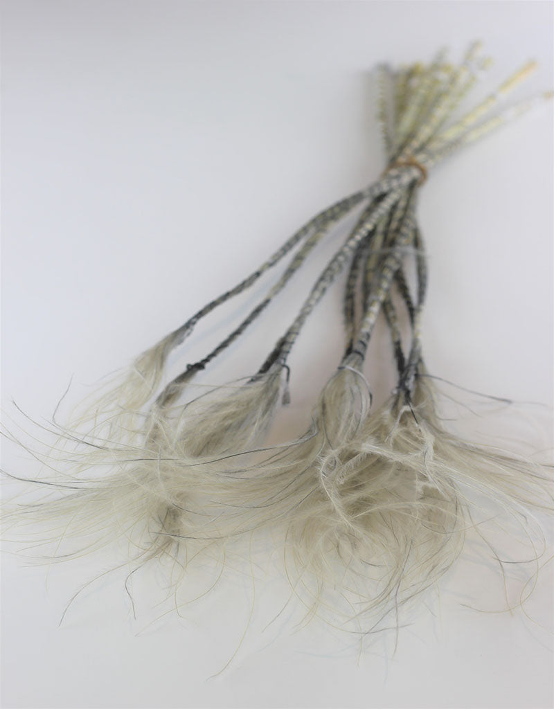 Dried Stypha Pennata - Grey Bunch, 60 cm