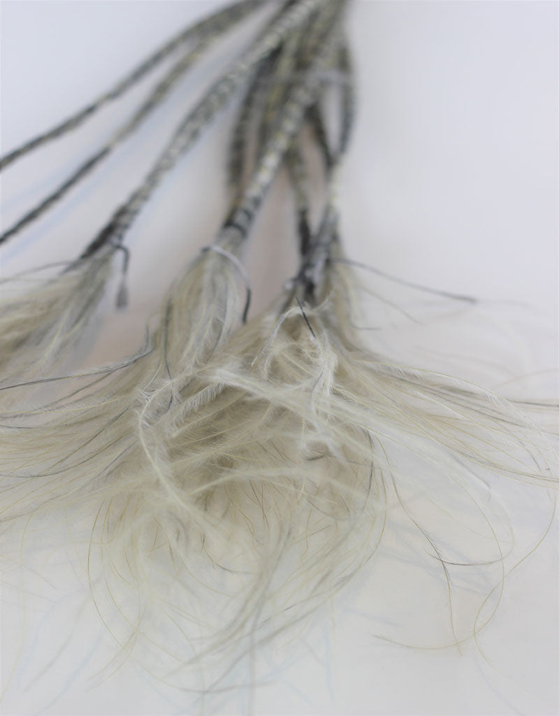 Dried Stypha Pennata - Grey Bunch, 60 cm