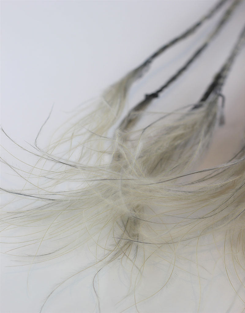 Dried Stypha Pennata - Grey Bunch, 60 cm