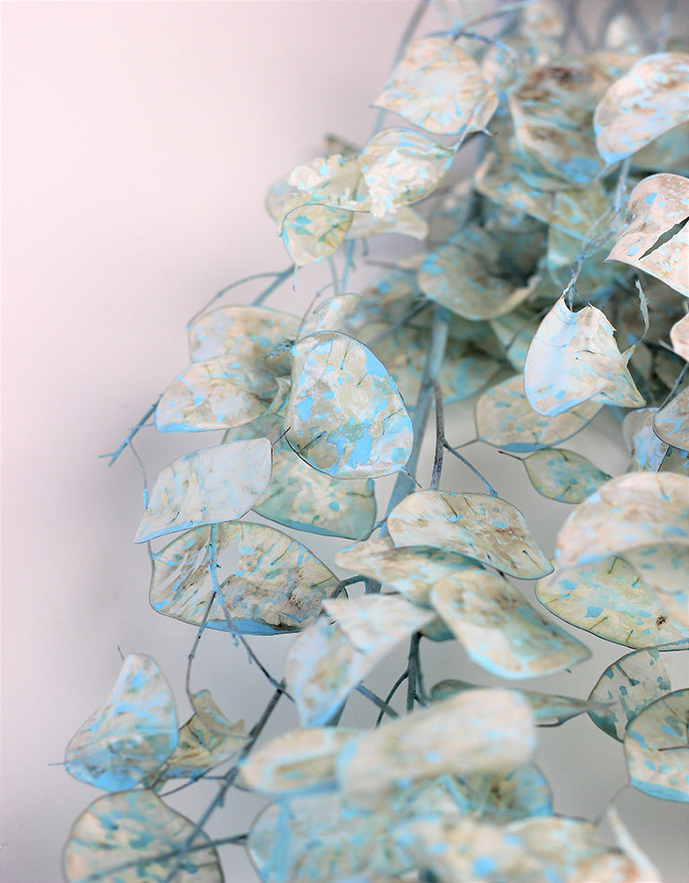 Blue Lunaria Bunch