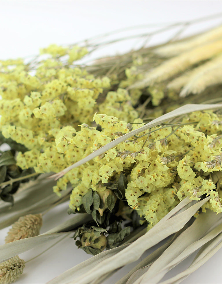Dried Bouquet Wholesale UK