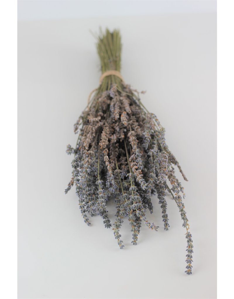 Online Dried Lavender Light Blue UK