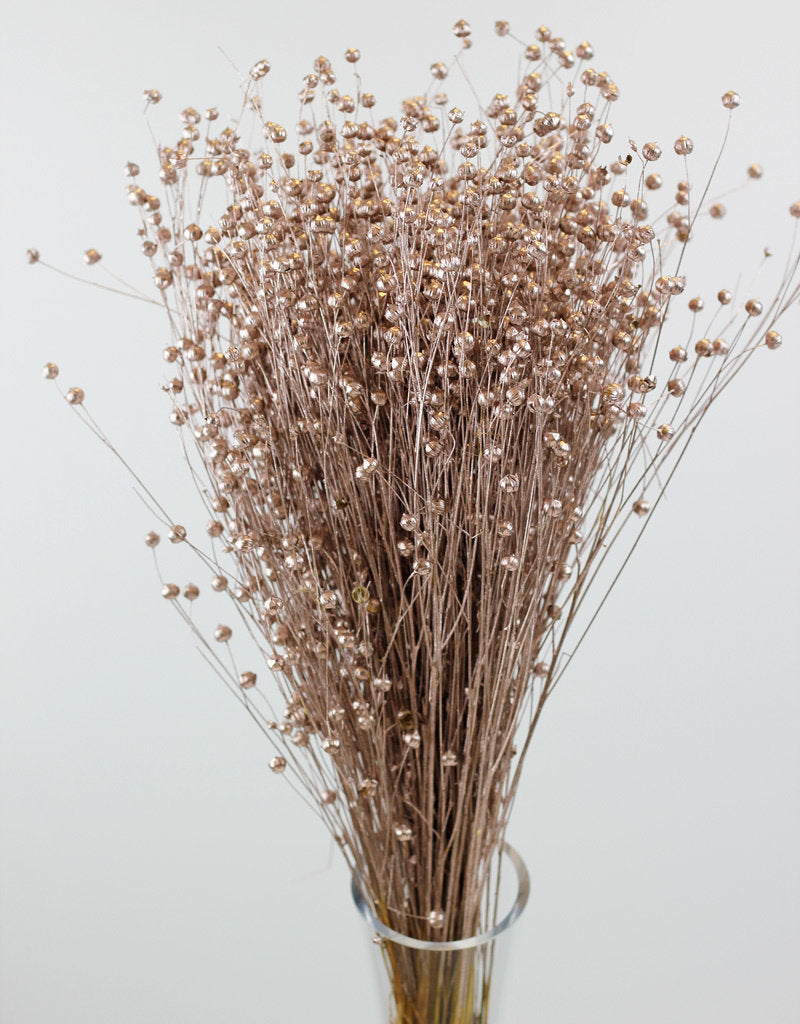 Dried Lino Vlas - Champagne Sleeved Bunch