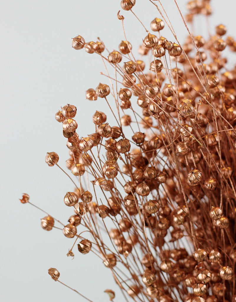 Dried Lino Vlas - Copper Sleeved Bunch