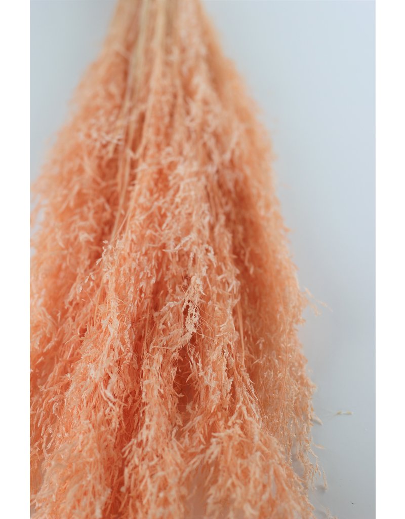 Dried Munni Grass - Salmon Bunch, 60 cm