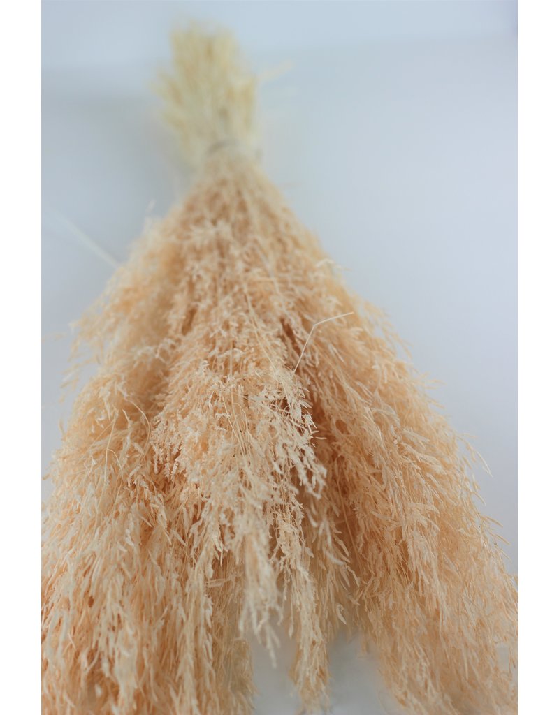 Dried Munni Grass - Soft Pink Bunch