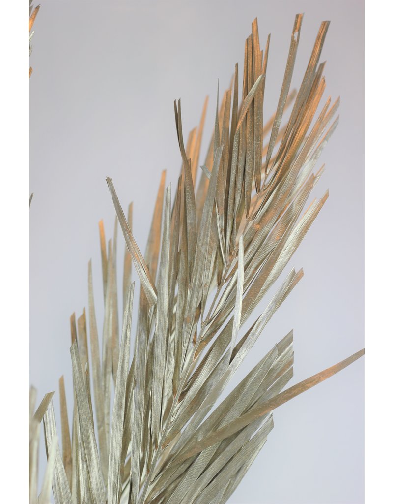 Dried Palm Leaf - Platinum Edition