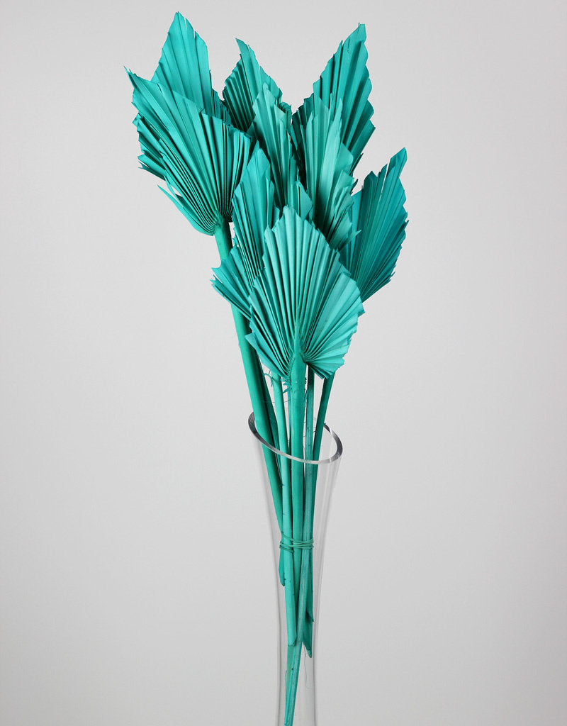 Dried Palm Spears - Aquamarine Blue Natural