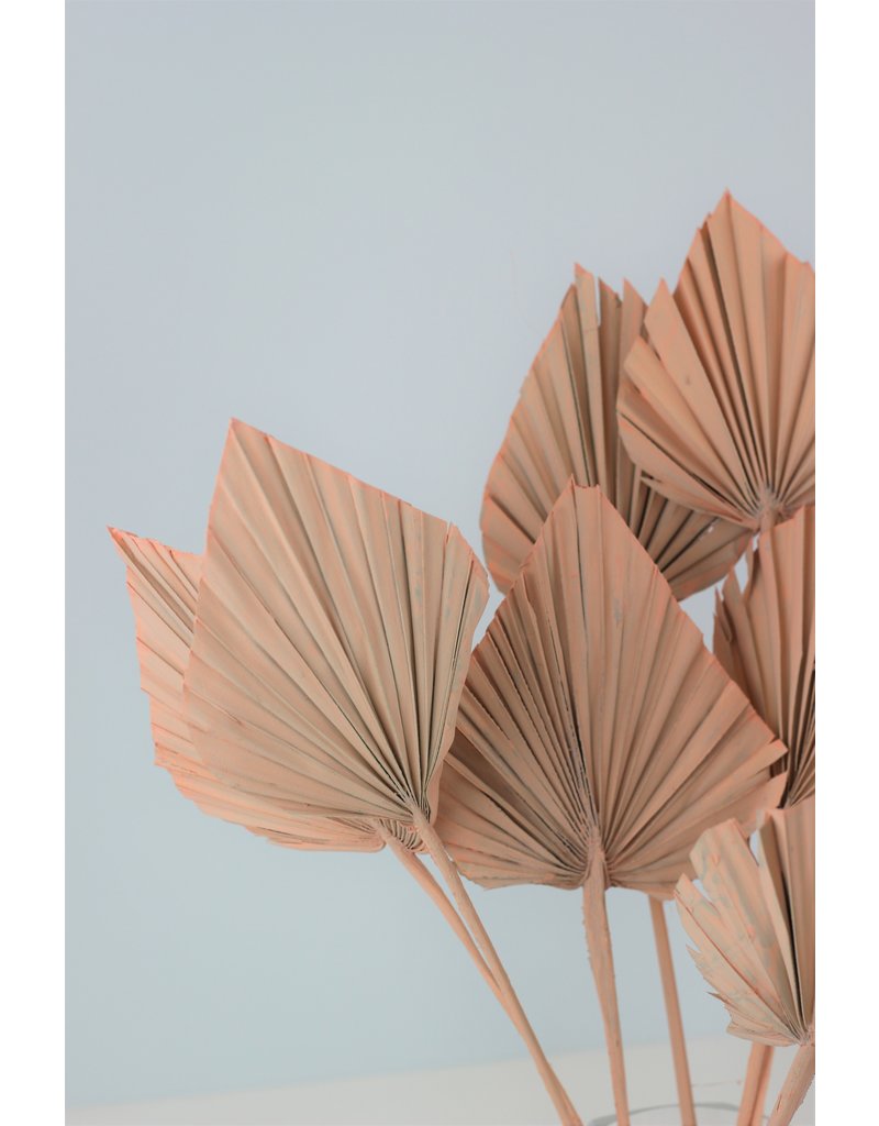 Dried Palm Spears - Salmon Pink, 10 Stems, 50 cm