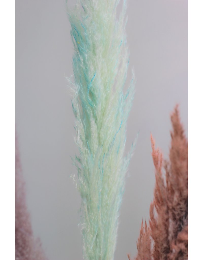 Dried Pampas Grass - Pastel Mix, 3 Stems